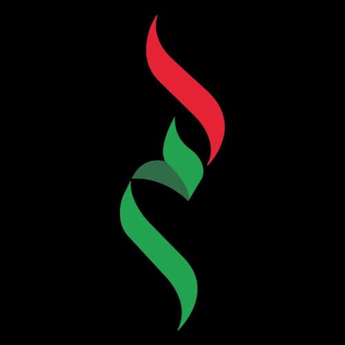 Amer Services