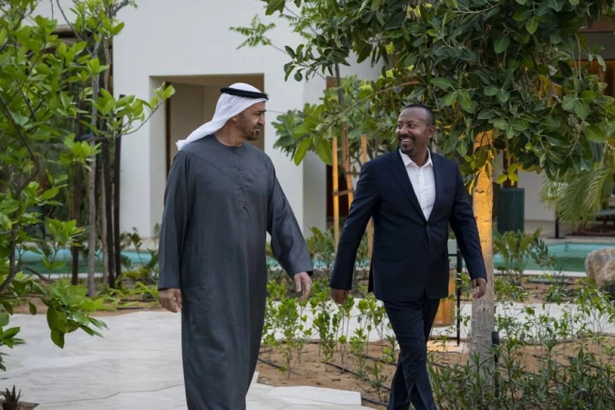 UAE President and Ethiopian Prime Minister discuss regional developments