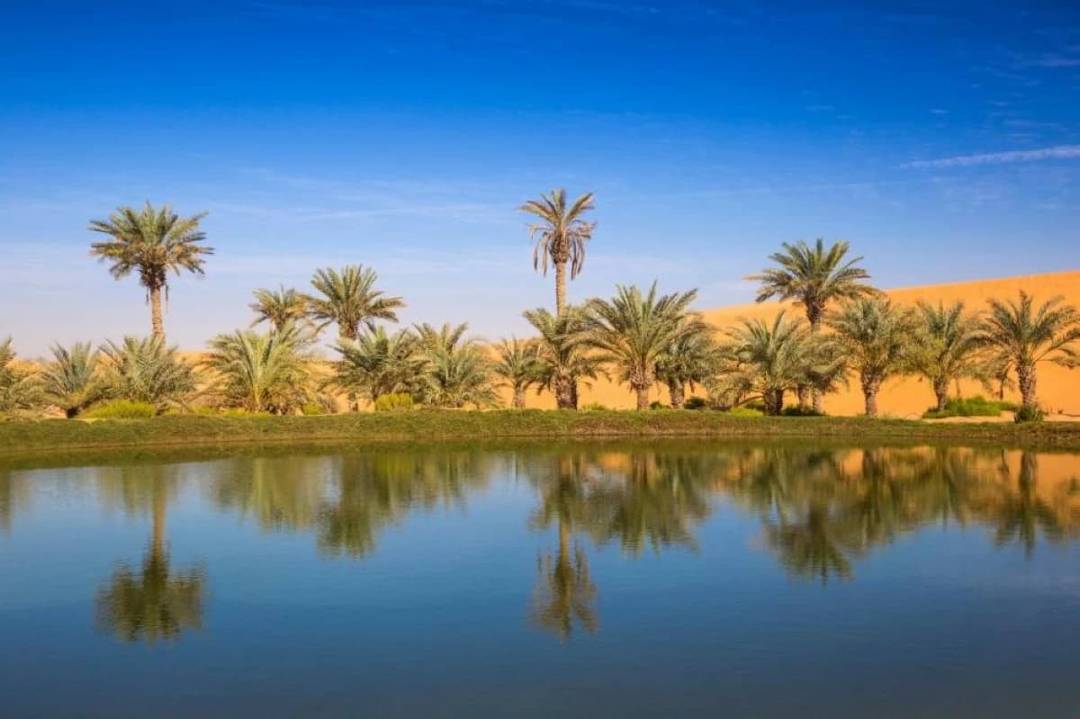 World Environment Day: UAE reinforces its leadership in sustainability, addressing climate challenges