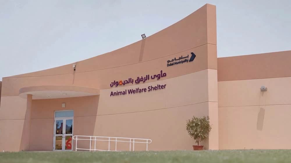 Dubai Municipality opens integrated pet shelter and launches digital adoption platform
