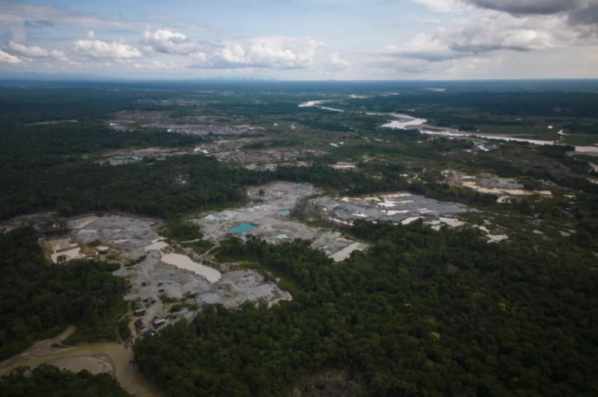 Five Amazon countries arrest hundreds in major crackdown on environmental crime