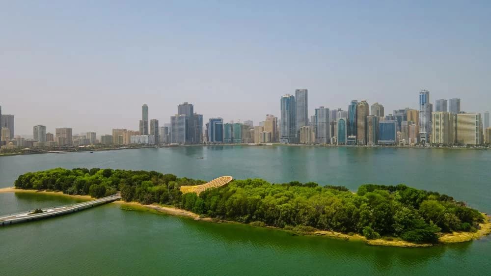 UAE weather: High humidity brings fog warning as temperatures reach 49°C